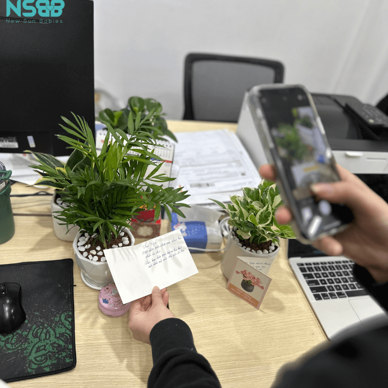 Không gian của phòng họp được trang trí thêm phần xanh với những chậu cây nhỏ xinh