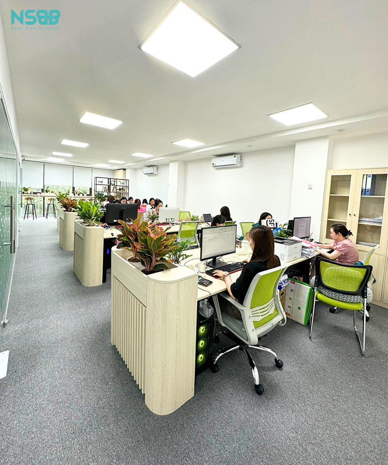 Không gian làm việc chung rộng rãi, ngập tràn ánh sáng