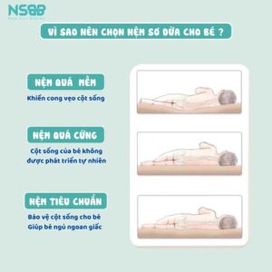 Nệm xơ dừa Pakey dày 4cm