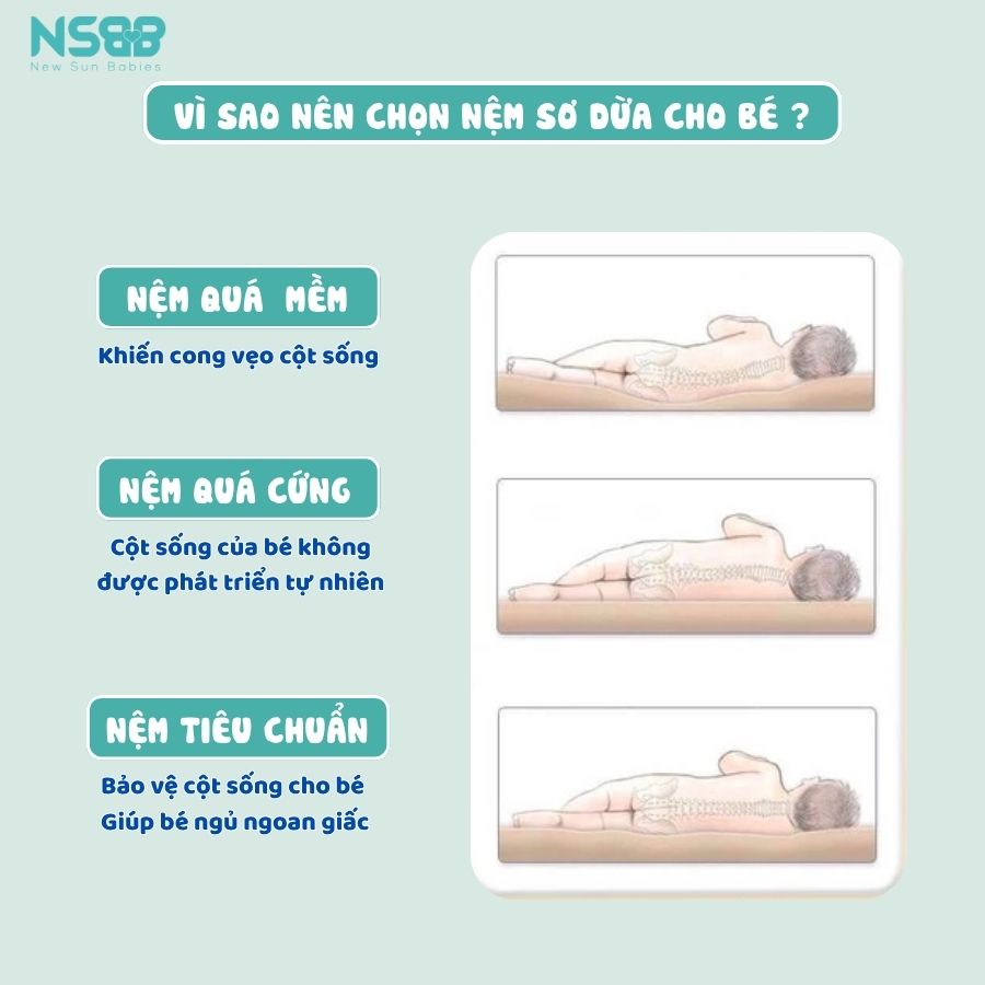Nệm xơ dừa Pakey dày 4cm