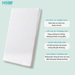 Nệm xơ dừa Pakey dày 4cm