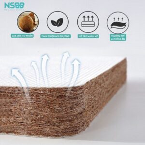 Nệm xơ dừa Pakey dày 4cm