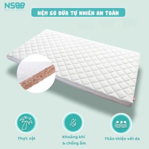 Nệm xơ dừa Pakey dày 4cm